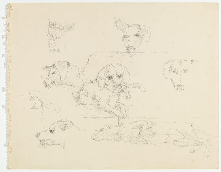 RAP "dog sketch" ink on paper (1965)