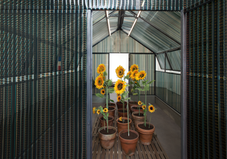 In this art installation, a cabin has been built out of film reels. Inside the cabin are potted sunflowers. They sit on top of wooden pallets.