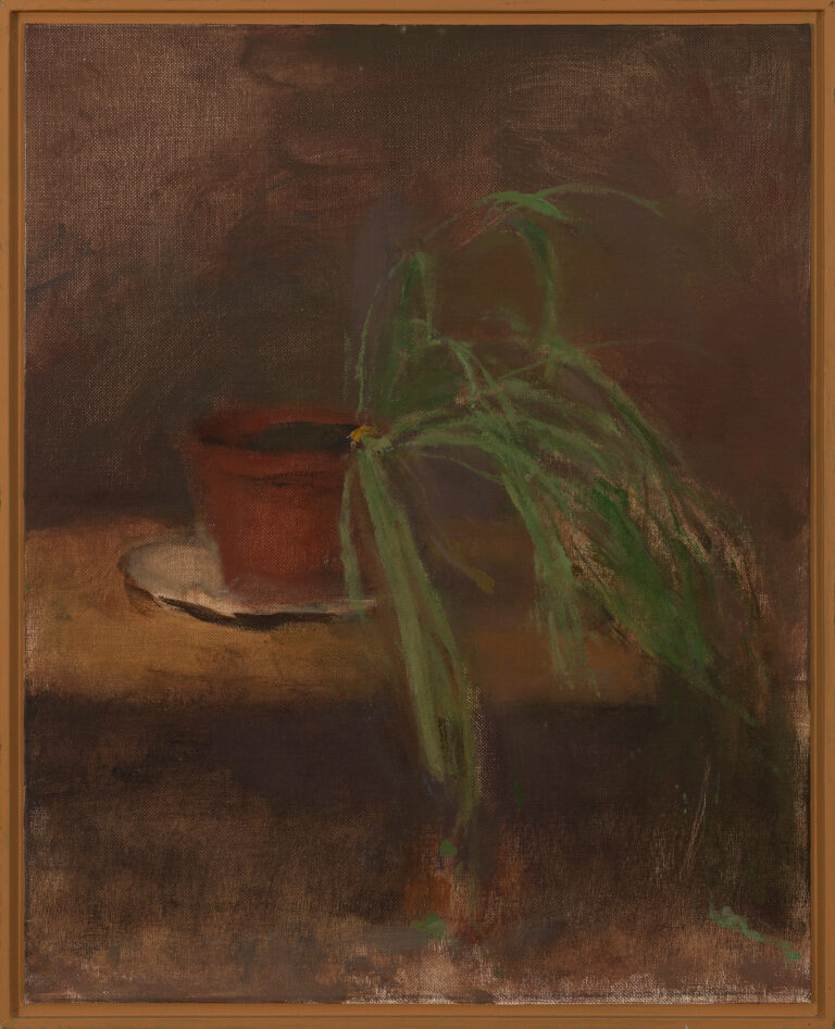 A spiderplant in a clay pot droops off to the right. Both the background and the shadows under the table in the foreground are dark but alive with colors. A suggestion of dim yet warming light permeates the scene.