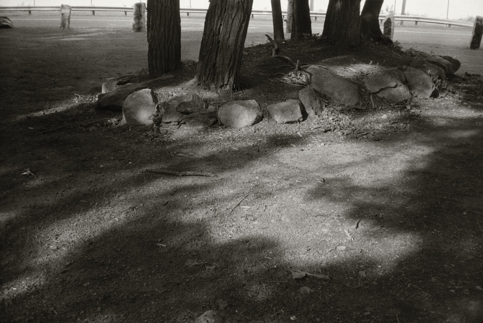 A black and white photo of the bottommost parts of a small copse of trees, the mound where they're planted bordered with large stones. The primary focus of the photograph, however, appears to be on the pattern of shadow and light on the earth around the trees.