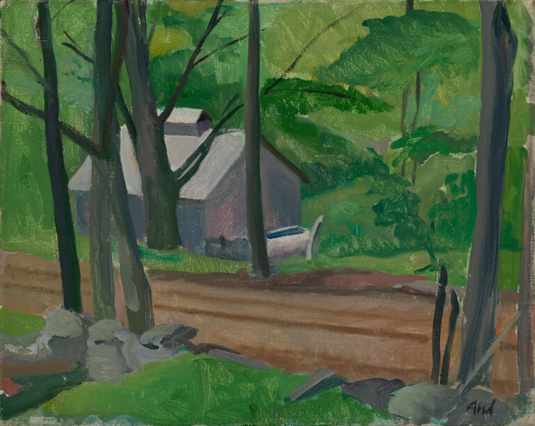 A landscape showing a wooded area with a dirt road and a shack.